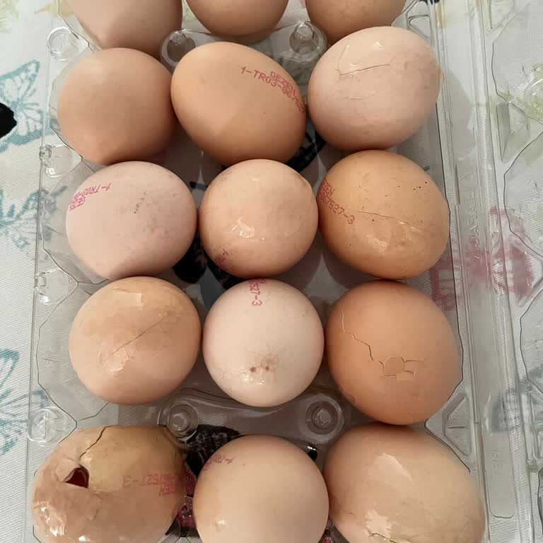 Kırık Yumurtalar Teslim Edildi, Değişim Talebim Cevapsız Bırakıldı