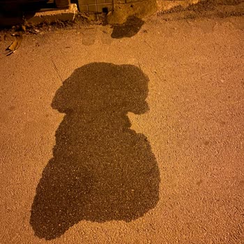 Kütahya Belediyesi Su Patlamasına Cevap Vermiyor