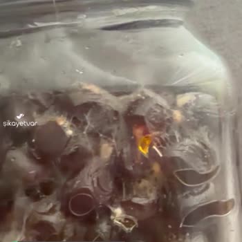 Şok Marketler Küflü Zeytin Teslimi!