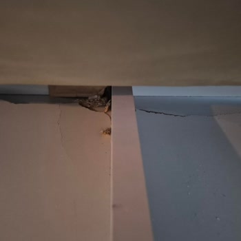 Üç Kez Sipariş Verip Hasarlı Koltuk Teslim Edildi, Değişim Talebi