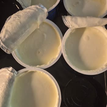 Son Kullanma Tarihi Geçmemiş Sek Protein Yoğurt Şişti Ve Küflendi