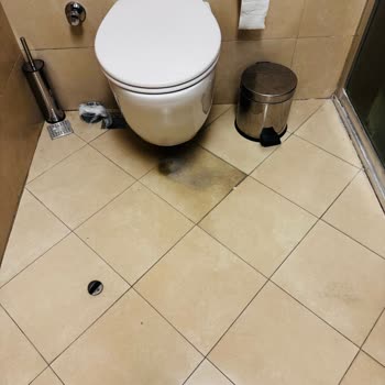 Şoförün Kaba Davranışı Ve Bagaj Hasarı Nedeniyle Tur Hizmetinde Memnuniyetsizlik