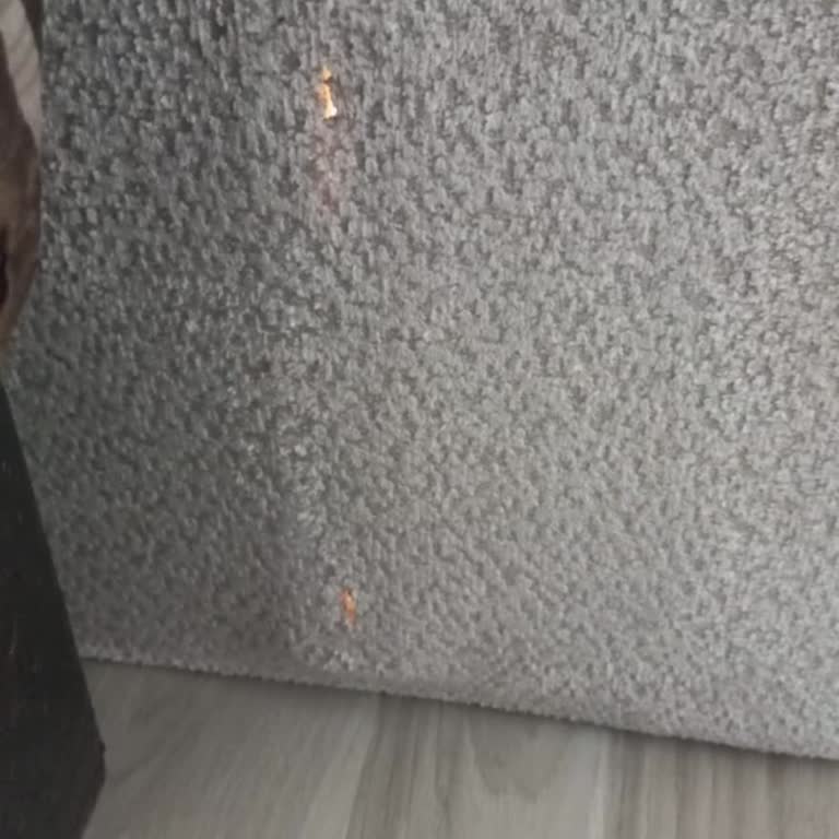 Yırtık Başlık Teslim Edildi, Değişim Talebim Reddedildi