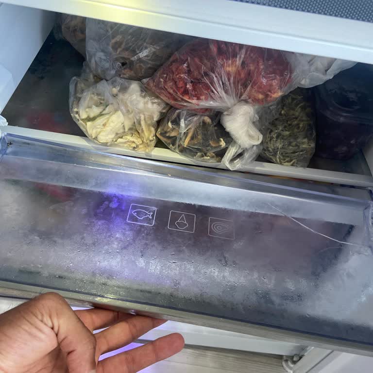 Üst Buzluk Çekmece Kapağı Çift Kırıldı Ve Ücretsiz Değişim İstiyorum
