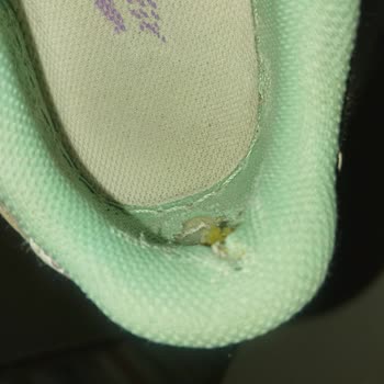 Sneaks Up, Tüketici Hakem Heyeti Kararına Rağmen Ayıplı Nike Ayakkabı Değişimini Reddetti