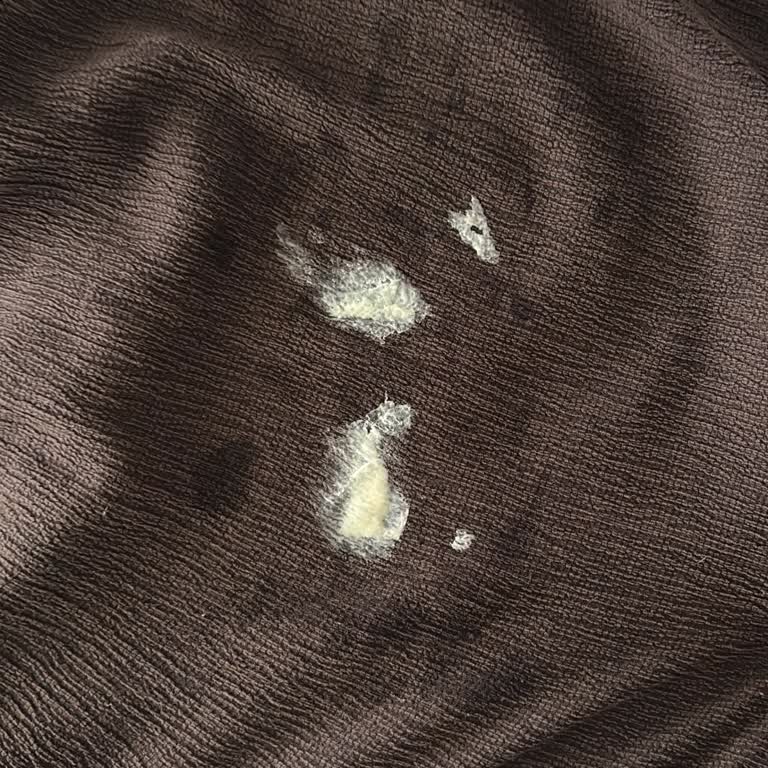 Buzlu Seyahat Otobüsünde Sakız Yapışması Ve Pantolon Mağduriyeti
