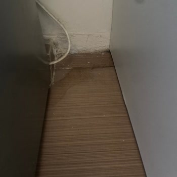 Kapak Kapanmıyor Ve Su Sızıntısı İçin Ücretsiz Servis Talebi