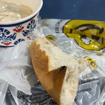 Yemeksepeti Market Siparişinde Ekmekte Bulunan Siyah Sinek Hijyen İhlali
