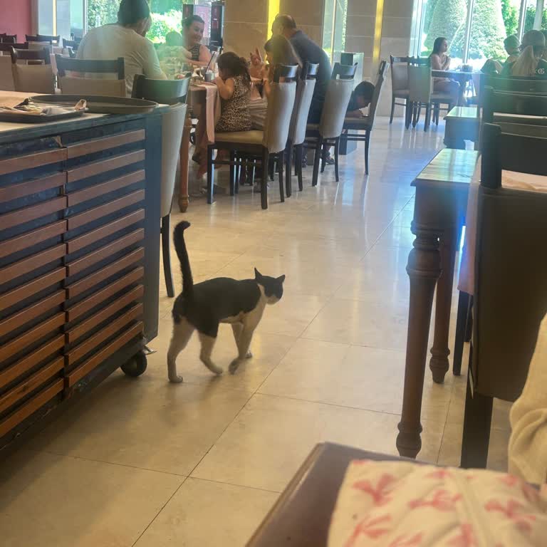 Sherwood Exclusive Otelinde Hijyen Sorunları Ve Şezlong Eksikliği