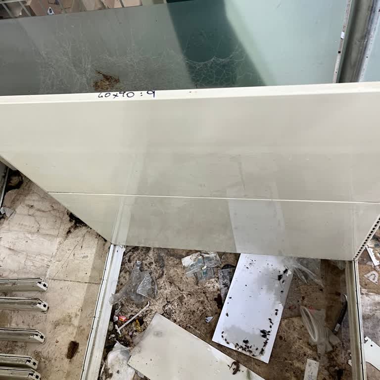 Ekmek Reyonunda Kertenkele Ve Fare Ölüsü Bulunması