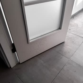 Satın Alınan Dairedeki Onarım ve Kalite Sorunları
