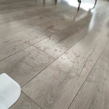 Robot Süpürgenin Su Sızdırması Ve Garanti Servisi Sonrası Aynı Sorunla Geri Gönderilmesi
