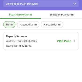 Çiçek Sepeti Sipariş Edilen Buket Görseliyle Uyuşmuyor, Yetersiz Puan İadesi