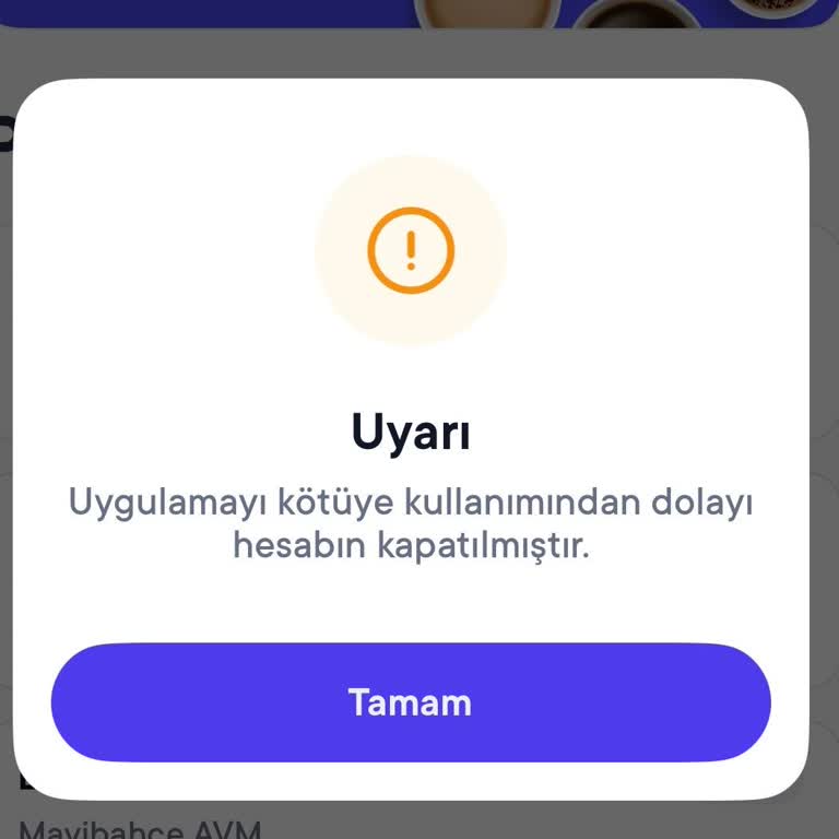 Kötüye Kullanım Olmadan Hesabım Kapatıldı Ve İnceleme Uzuyor