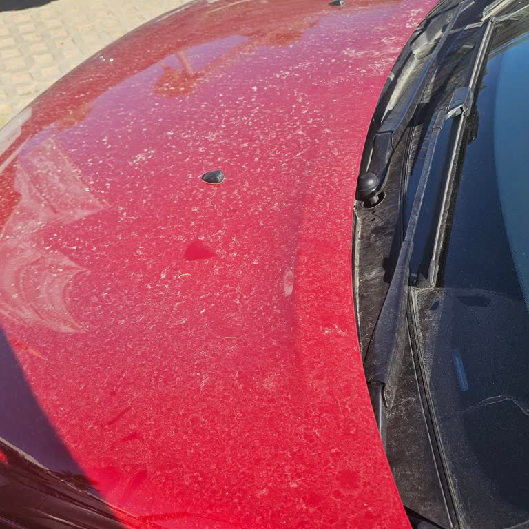 Balaban Citroen Servisinde Gecikme ve Umursamaz Tutum