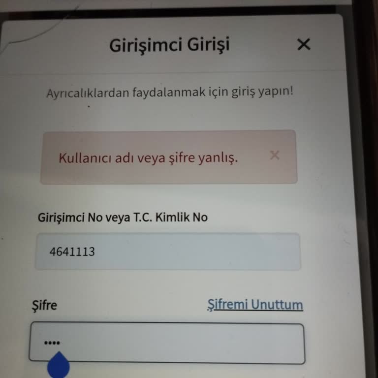 Şifre Sıfırlama Sonrası Giriş Yapamama Ve Üyelik Açma Problemi