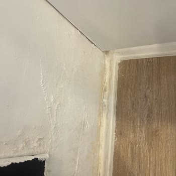 Kot Farkı Oda Yanıltması Ve Hijyen Eksikliği