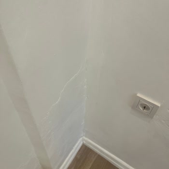 Kot Farkı Oda Yanıltması Ve Hijyen Eksikliği