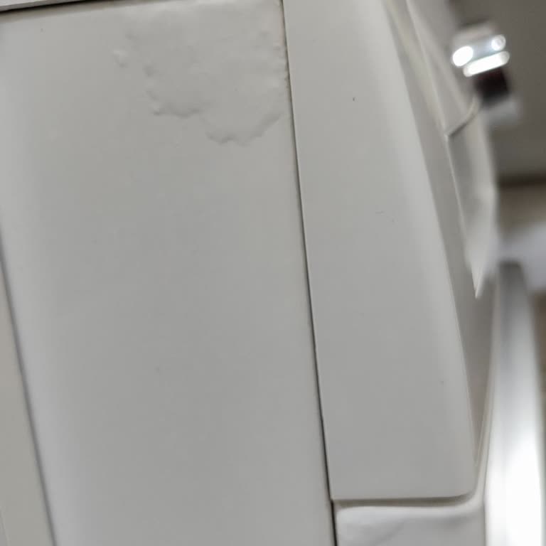 Bosch Çamaşır Makinesinde Deterjan Çekmecesi Çürümesi Tekrarlandı, Ücretsiz Değişim Talebi