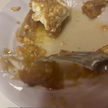 Köfteci Yusuf Burhaniye Şubesi Tatlıda Sinek Çıktı Hem De Canlı!
