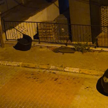 Beylikdüzü Yakuplu Sokakta Temizlik Yetersizliği Ve Fare Sorunu