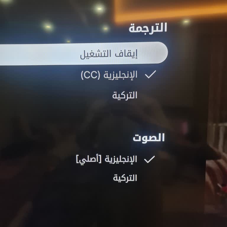 Netflix Türkiye'de Alt Yazı Ve Ses Seçenekleri Kayboldu