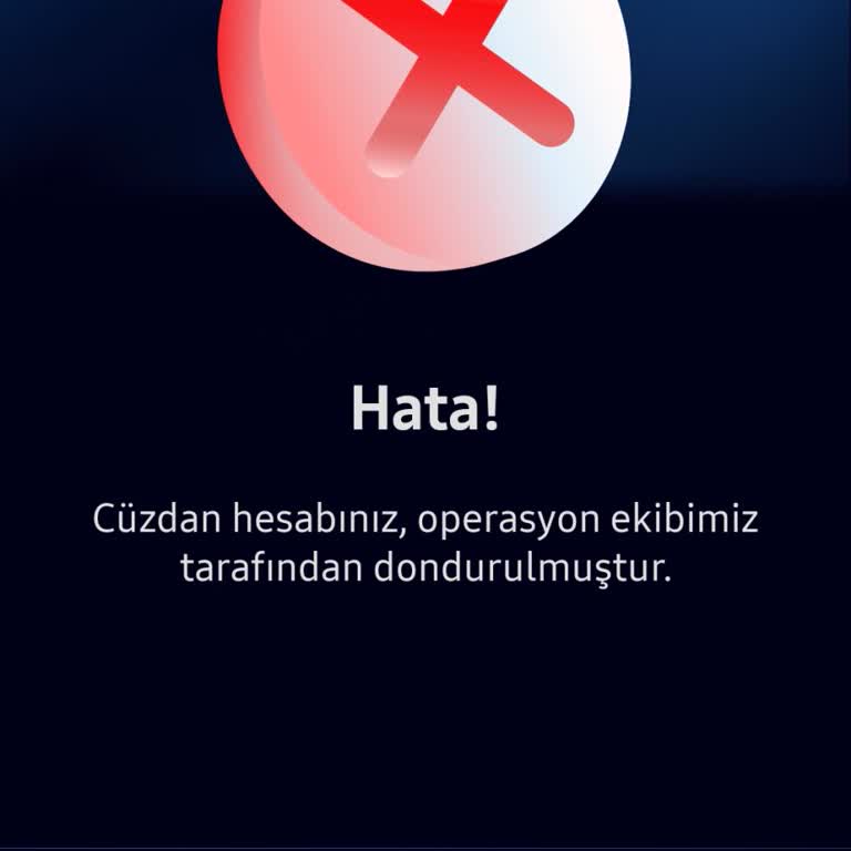 Samsung S Wallet Hesabım Açıklama Olmadan Donduruldu, Bakiye Erişilemiyor