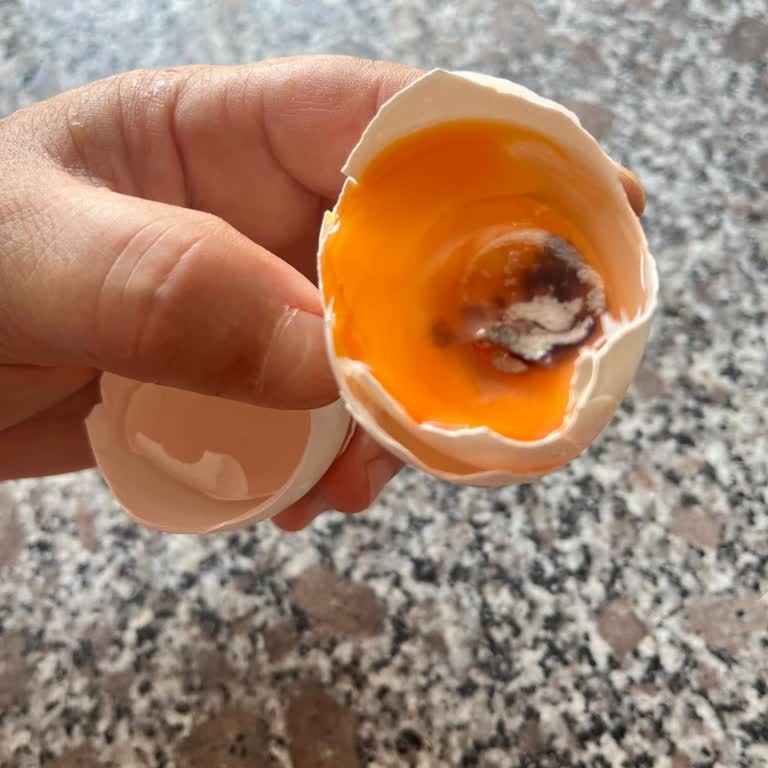 Beyza Piliç Yumurtasında Bozulma Ve Gıda Güvenliği Sorunu