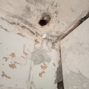 Üst Kat Kiracısının Gürültüsü Ve Su Sızıntısı Sorunu