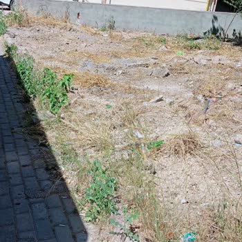 Gebze Belediyesi Otluk Alanını Mahvederek Kullanılamaz Bıraktı