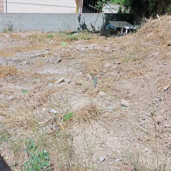 Gebze Belediyesi Otluk Alanını Mahvederek Kullanılamaz Bıraktı