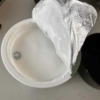 Son Kullanma Tarihi Geçmemiş Şekersiz Yoğurtta Küf