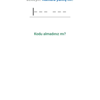 WhatsApp Hesabım Engellendi, Doğrulama Kodu Alınamıyor Ve İş Kaybı Riski