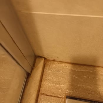 Hampton By Hilton Otelinde Temizlik Ve Hizmet Kalitesi Beklentileri Karşılanmadı