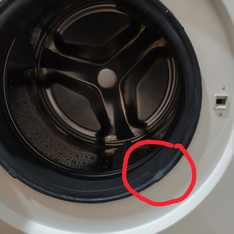 Bosch Çamaşır Makinesinde Körük Lastiği Ücretsiz Garanti Değişimi