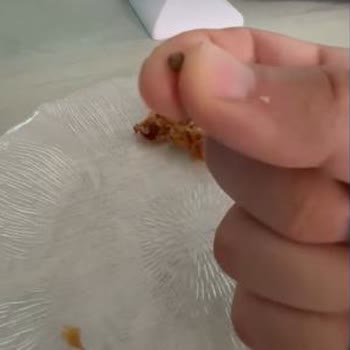 Misun Pastanesi | Üsküdar Unlu Mamulün İçinden Çakıl Taşı Çıktı