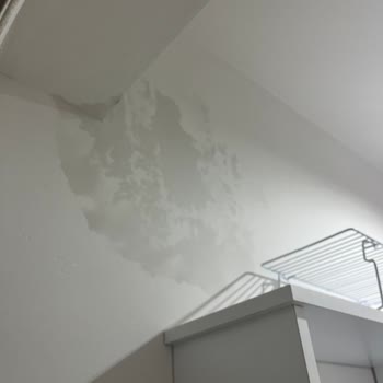 Üst Kat Suyundan Kaynaklanan Su Kaçağı, Rutubet Ve Küf Sorunu