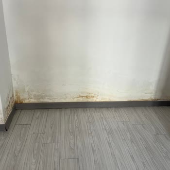 Üst Kat Suyundan Kaynaklanan Su Kaçağı, Rutubet Ve Küf Sorunu