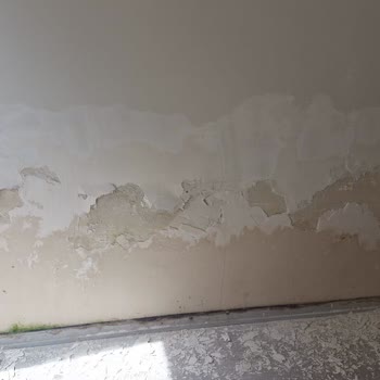 Sompo Sigorta Hasar Reddi Kararına Yeniden Değerlendirme Talebi