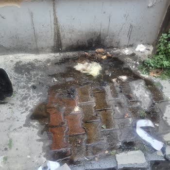 Kasis Cafe’nin Arka Bölümündeki Hijyen Sorunu Mahalleyi Rahatsız Ediyor