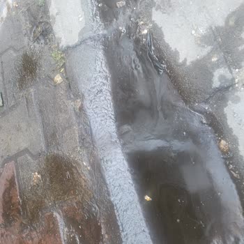 Kasis Cafe’nin Arka Bölümündeki Hijyen Sorunu Mahalleyi Rahatsız Ediyor