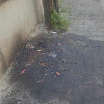 Kasis Cafe’nin Arka Bölümündeki Hijyen Sorunu Mahalleyi Rahatsız Ediyor