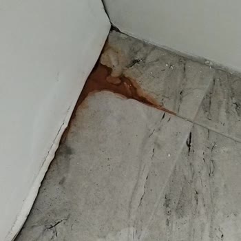 Arçelik Servisinin Yanlış Kurulumu Su Sızıntısına Ve Mutfak Dolabı Hasarına Yol Açtı