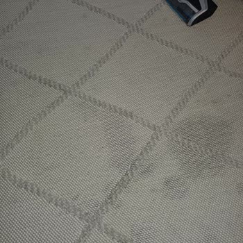 İlk Kullanımda Suyun Halıya Akmasıyla Bissell Süpürge Arızası