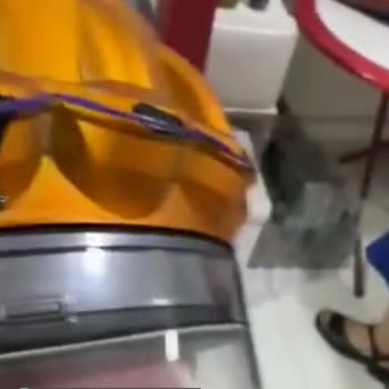 Dyson Çok Mağdurum!