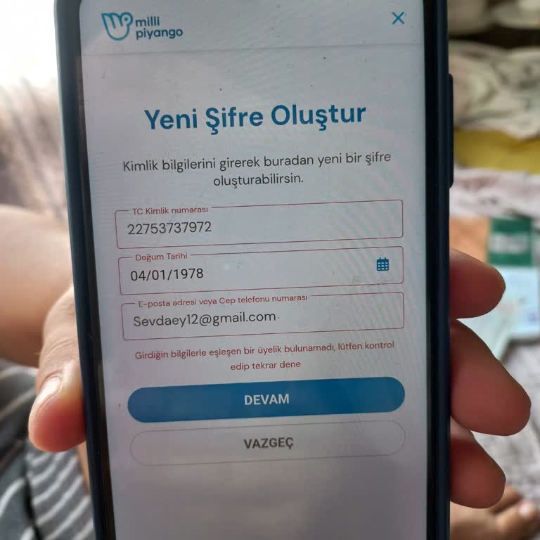 Hesaba Giriş Sorunu Ve Şifre Yenileme Kodu Gelmemesi