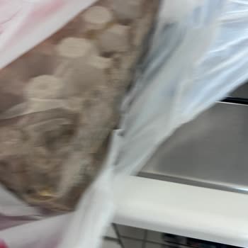 Kırık Ve Küflü Yumurta Teslimatı, Gıda Güvenliği Riski Ve Çözüm Bekleyişi