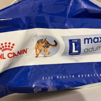 Yanlış Köpek Maması Gönderimi Ve Ağırlık Nedeniyle PTT Kargo İade Zorluğu