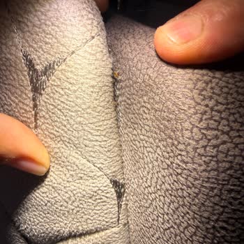 Bambi Yatak Baza Kısmında Böcekler Olması