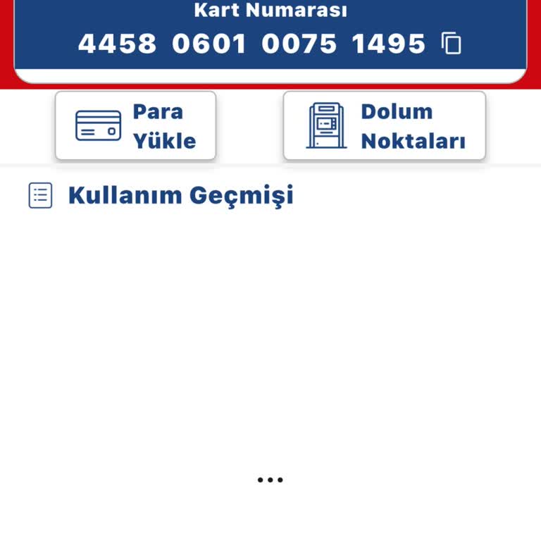 Ego Kart Kullanım Geçmişi Uygulamada Görüntülenemiyor